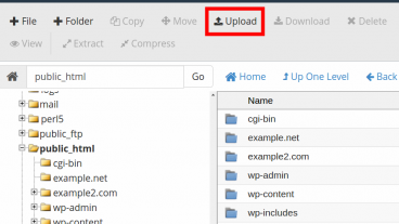 আপনার ওয়েব সাইটে হোস্টিং সি-প্যানেল থেকে FileZilla FTP Client দিয়ে কিভাবে  ফাইল আপলোড করতে হয়