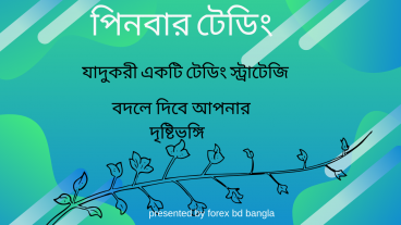 পিনবার ট্রেডং-সফল ট্রেডিং স্ট্রাটেজি