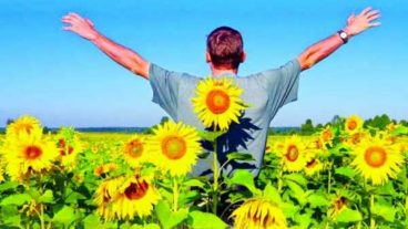 👉 যারা স্বাস্থ্য সচেতন তাদের জন্য 🏋️, দেখে নিন আপনার Hight অনুযায়ী কতটুকু Wight থাকা দরকার