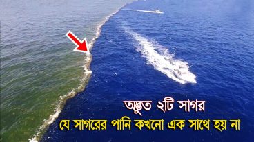 এই ২টি সাগর একসাথে মেশে না কেন?
