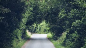 ভিপিএন নির্বাচন