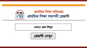 ইবতেদায়ী শিক্ষা সমাপনী পরীক্ষার ফলাফল ২০১৯