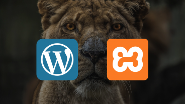 কিভাবে আপনার কম্পিউটারে ওয়ার্ডপ্রেস ইন্সটল করবেন