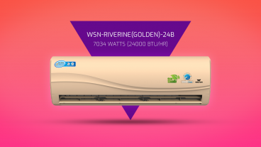 আইওনাইজার প্রযুক্তির নতুন দুইটনের এসি : WSN-RIVERINEGolden