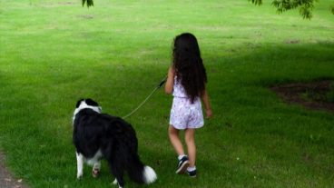 আমি কি আমার কুকুরের মাধ্যমে করোনাভাইরাস আক্রান্ত হতে পারি?