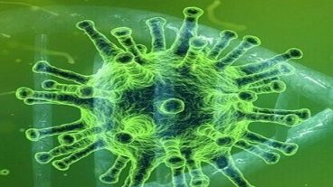 করোনা ভাইরাস প্রতিরোধে ৪০টি পরামর্শ!