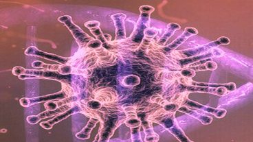 করোনা ভাইরাসের ইতিবাচক নেতিবাচক দিক