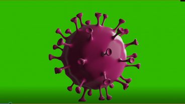 করোনা নিয়ে যত গুজব