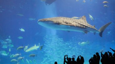 BIOLOGYজীববিজ্ঞান