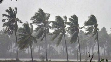 আতঙ্কিত? এই অ্যাপের মাধ্যমে দেখে নিন আমফানের সমস্ত গতিবিধি