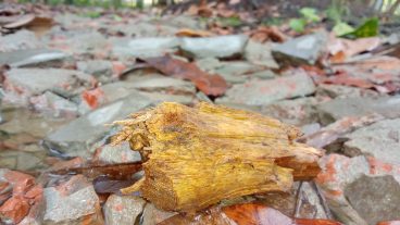 গুগলে সার্চ করার সময় যে দশটি বিষয় নিয়ে সতর্ক থাকবেন