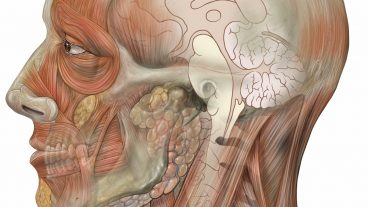 Neuromedicine Doctors In Dhaka