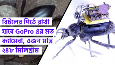 বিটলের পিঠে রাখা যাবে GoPro এর মত ক্যামেরা, ওজন মাত্র ২৪৮ মিলিগ্রাম