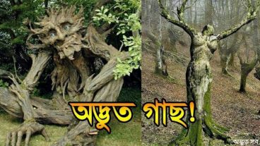 বিশ্বের সবচেয়ে ভয়ংকর এবং অদ্ভুত গাছ গাছটি সবকিছু খেয়ে ফেলে Strange Trees of the World