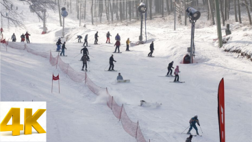 Skiing in Winter Wonderland Gummibär The Gummy Bear