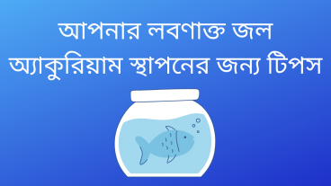 আপনার লবণাক্ত জল অ্যাকুরিয়াম স্থাপনের জন্য টিপস