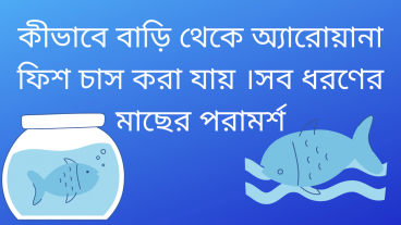 কীভাবে বাড়ি থেকে অ্যারোয়ানা ফিশ চাস করা যায় সব ধরনের মাছের পরামর্শ