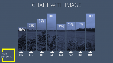 এক্সেল চার্ট টিপস : কলাম চার্ট এবং ব্যাকগ্রাউন্ড ইমেজ