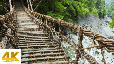 Macao Bridge to Boost Logistics Bridge Above Water