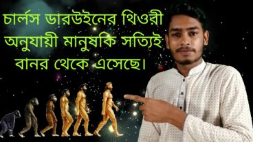 দেখুন মানুষ কিভাবে বানর থেকে আসলো