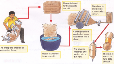 Wool  Manufacturing Process of Wool