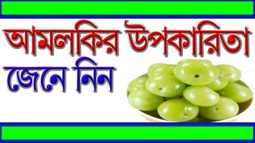দৈনিক ভিটামিন ‘সি’র চাহিদা মেটাবে মাত্র দুটো আমলকি