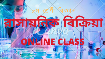 online classclass eight