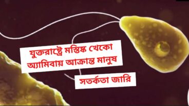 Brain eating amoebae in the United States  Warning issued in Florida