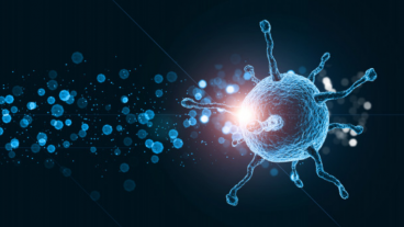 করোনা ভাইরাসের সাথে যুদ্ধ