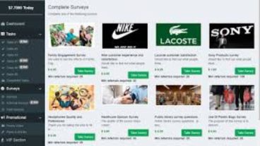 কোন ইনভেস্ট এবং অভিজ্ঞতা ছাড়াই বাংলাদেশ থেকে সার্ভে করে দৈনিক ৮০০ টাকা উপার্জন করুন