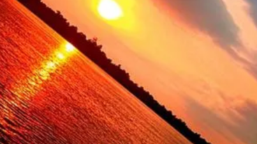 অনলাইনে প্রথম ইনকাম করতে চান? তাহলে এই পোষ্টটি পড়ুন