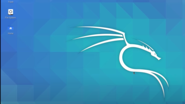 5 মিনিটে উইন্ডোজে কালি লিনাক্স ভার্চুয়ালবক্স ছাড়াই/WSL 2 GUI