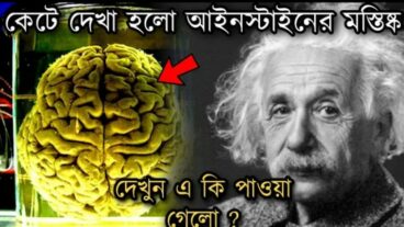 দেখুন কি পাওয়া গেল আইনস্টাইনের মাথা থেকে!