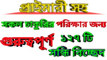 প্রাইমারী সহ যেকোনো চাকরীর পরীক্ষার জন্য বাছাইকৃত সন্ধি বিচ্ছেদ গুরুত্বপূর্ণ প্রশ্নত্তর