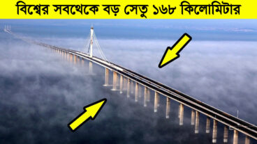 বিশ্বের দীর্ঘতম ৫টি সেতু যা দেখে আপনি অবাক হয়ে যাবেন!