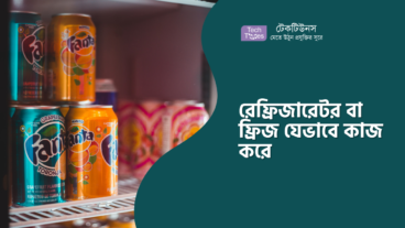 রেফ্রিজারেটর বা ফ্রিজ যেভাবে কাজ করে
