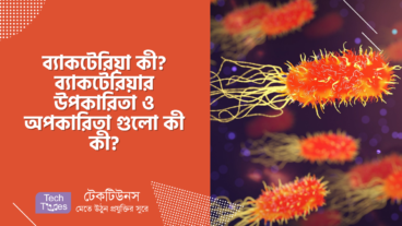 ব্যাকটেরিয়া কী? ব্যাকটেরিয়ার উপকারিতা ও অপকারিতা গুলো কী কী?