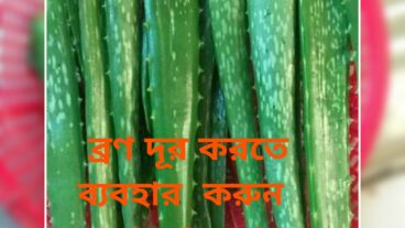 ব্রণ দূর করতে অ্যালোভেরার ব্যবহার