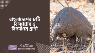 বাংলাদেশের ৮টি বিলুপ্তপ্রায় ও বিপদাপন্ন প্রাণী