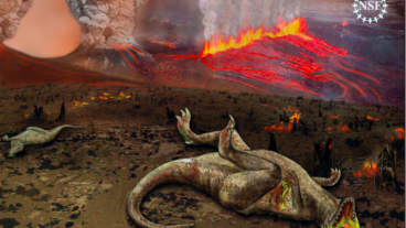 গন বিলুপ্তি কি? এবং কেন আমাদের জানা দরকার?