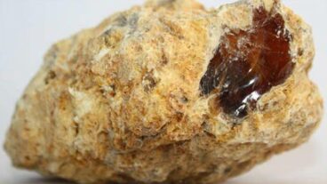 অ্যাম্বারগ্রিস কি?