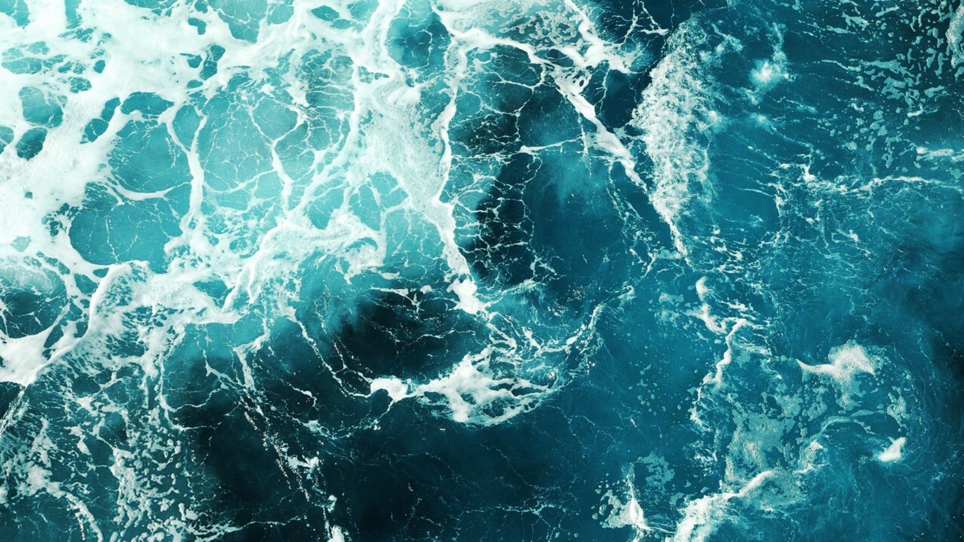 সমুদ্রের তাপমাত্রা 