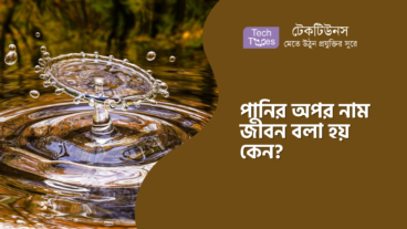 পানির অপর নাম জীবন বলা হয় কেন?
