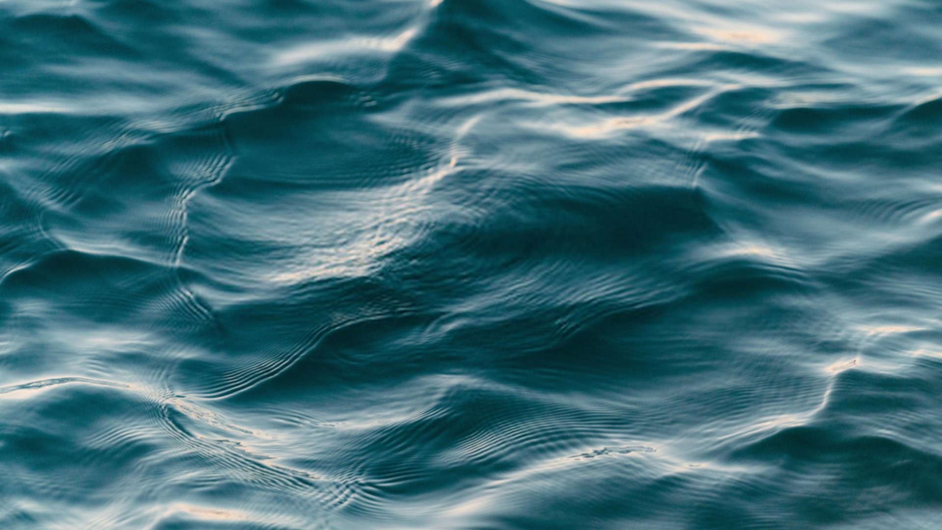 যদি সমুদ্রের পানি শুকিয়ে ফেলা হয়?