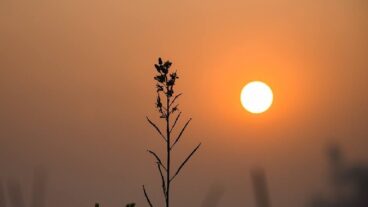 সকাল ও বিকালের রোদ ঠাণ্ডা কেন?