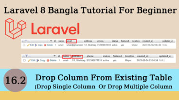 Drop Column Using Migration in Laravel  Drop Single Or Multiple Column