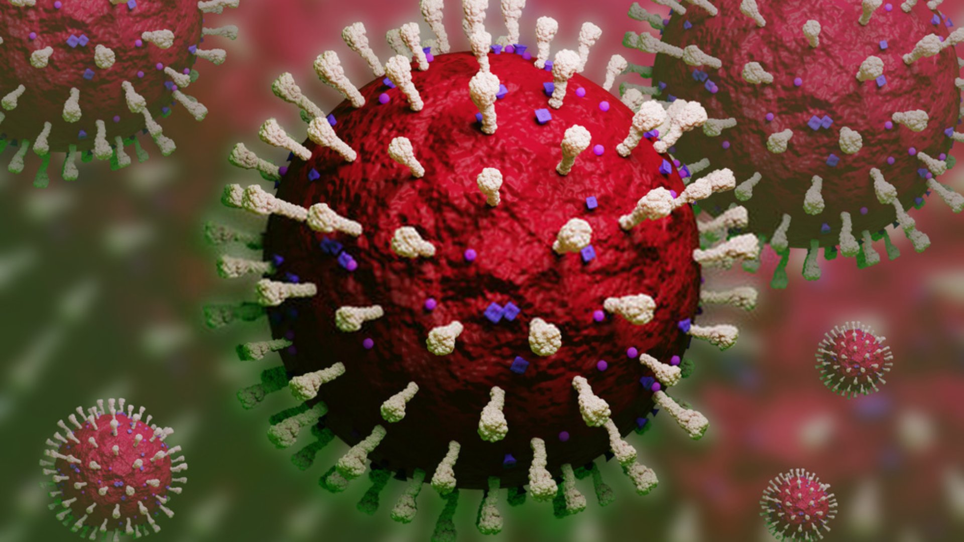 করোনা ভাইরাস মোকাবেলা