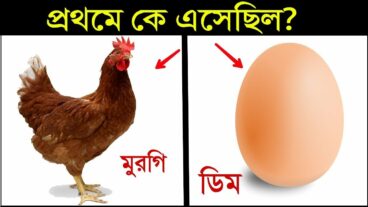 অনেকদিন ধরেই অদ্ভুত শব্দ আসছিলো, অবশেষে কি বেরোলো দেখুন! Guy Broke The Wall And Then