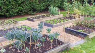 শীতের জন্য বাগান প্রস্তুত করা