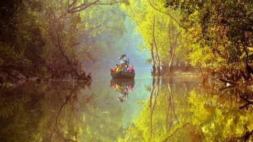 সুন্দরবন ভ্রমণ – যাওয়ার উপায়, ভ্রমণ প্যাকেজ ও খরচ  ভ্রমণ গাইড